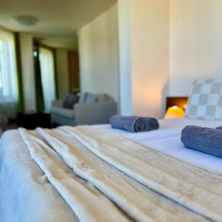 招待所 House Laudis